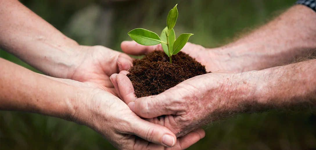 duro golpe del Banco Central