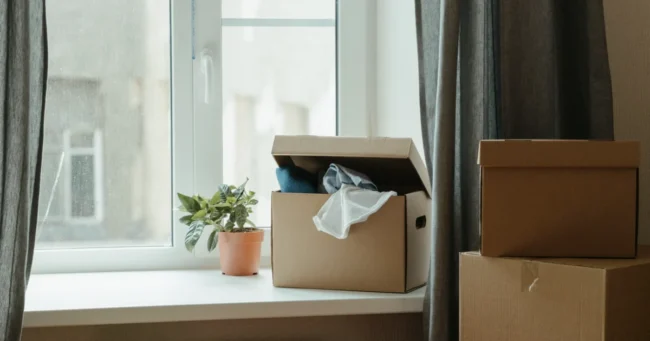 Cajas de mudanza junto a una ventana con una planta, en una pieza luminosa
